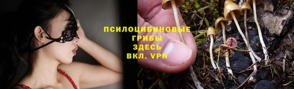 таблы Белокуриха