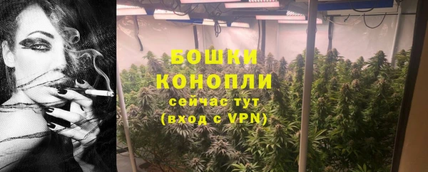 спиды Богданович