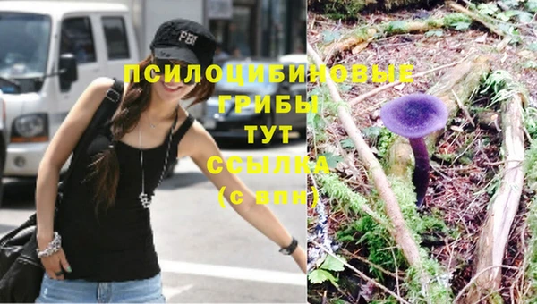 каннабис Богородицк
