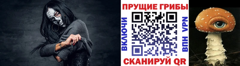 Псилоцибиновые грибы Psilocybine cubensis  наркошоп  дарк нет наркотические препараты  Кирс 